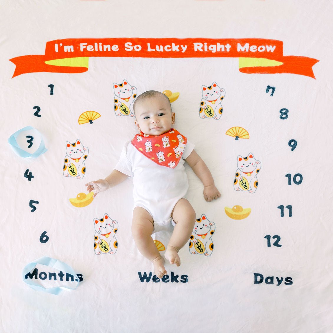 the wee bean fleece milestone baby blanket in lucky cat fortune cat Maneki Neko